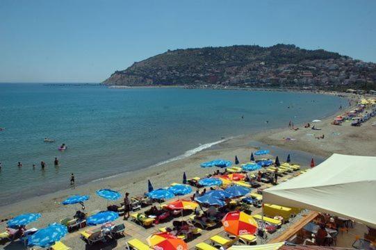Best Beach Hotel 알란야 외부 사진